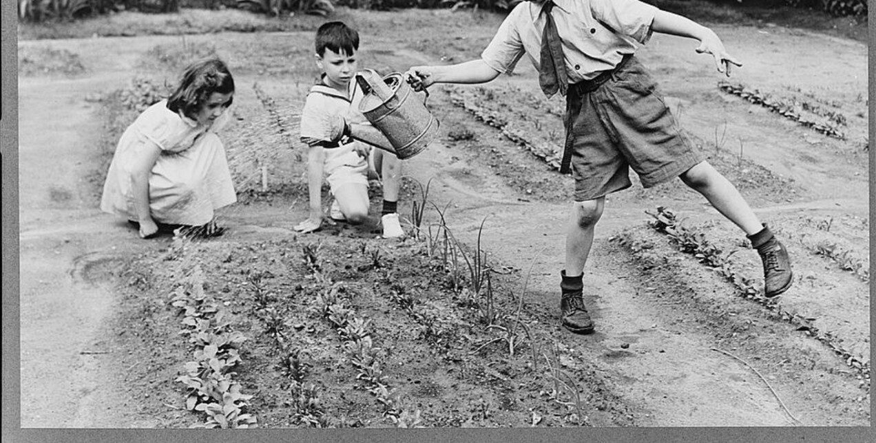 The-History-Of-Victory-Gardens